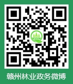 赣州林业微博