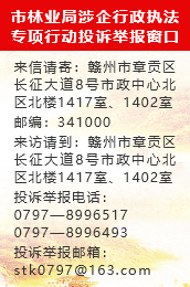 市林业局优化营商环境服务热线