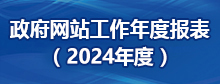 政府网站年度工作报表2023